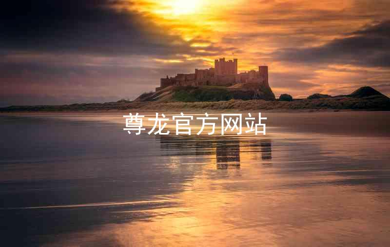 尊龙官方网站