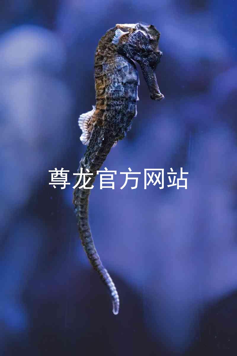 尊龙官方网站