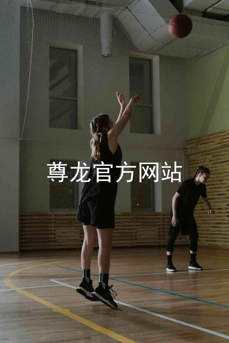 尊龙官方网站
