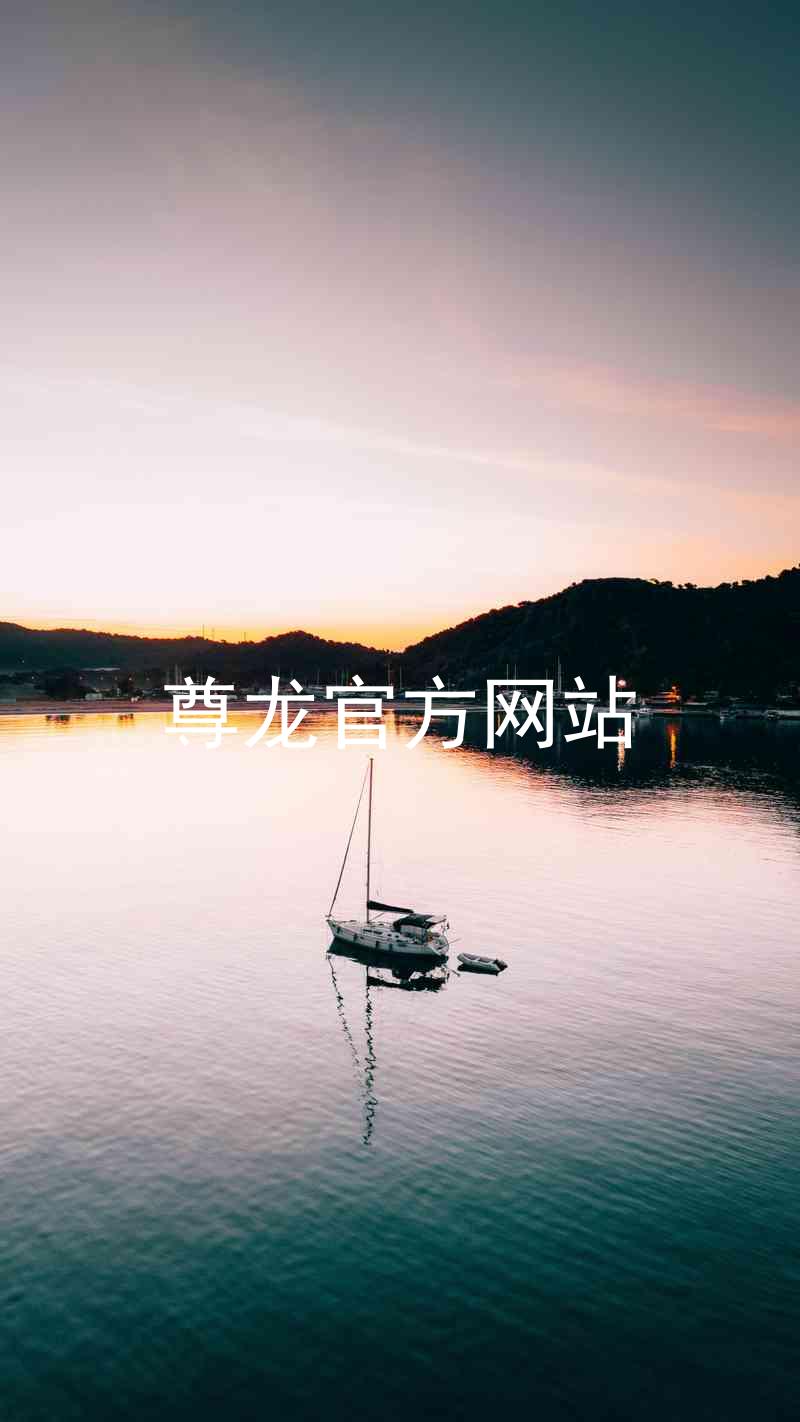 尊龙官方网站