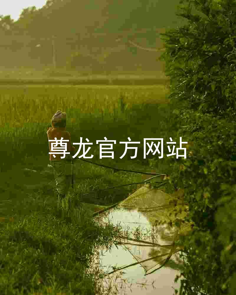 尊龙官方网站